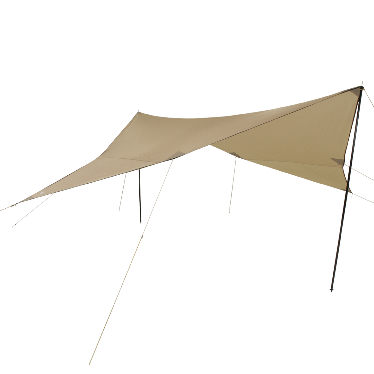 Plane Tc 3x3